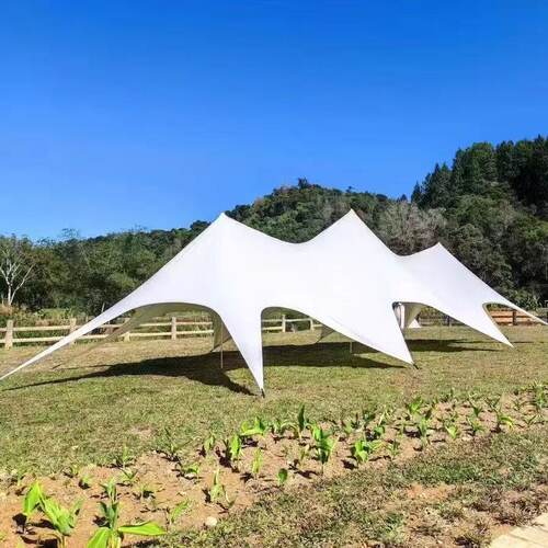 户外营地用单峰双峰天幕