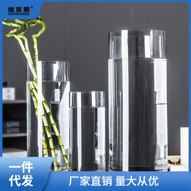 特大号花瓶简约玻璃透明落地摆件客厅餐桌水竹富贵竹干花插花链衡