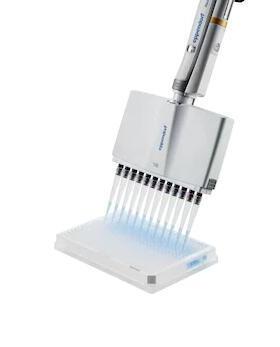 Eppendorf 12道移液器 十二道排枪 艾本德 12道可调量程移液枪