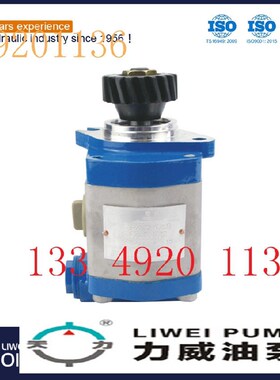 件号DZ910013j0031合肥力威汽车油泵 转向助力泵 QC22/15-WD12A