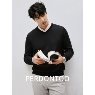 【云感纤柔纱】暖冬亲肤V领毛衣男士保暖通勤百搭叠穿纯色针ZZ80