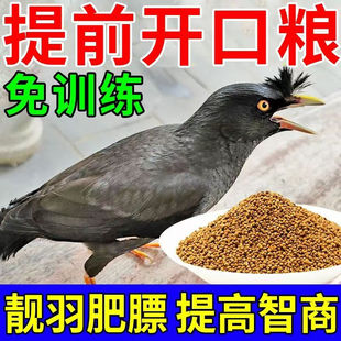 八哥专用饲料鸟食鹩哥鸟粮乌鸫鸟食八鸟饲料专用鸟粮黑八营养粮食