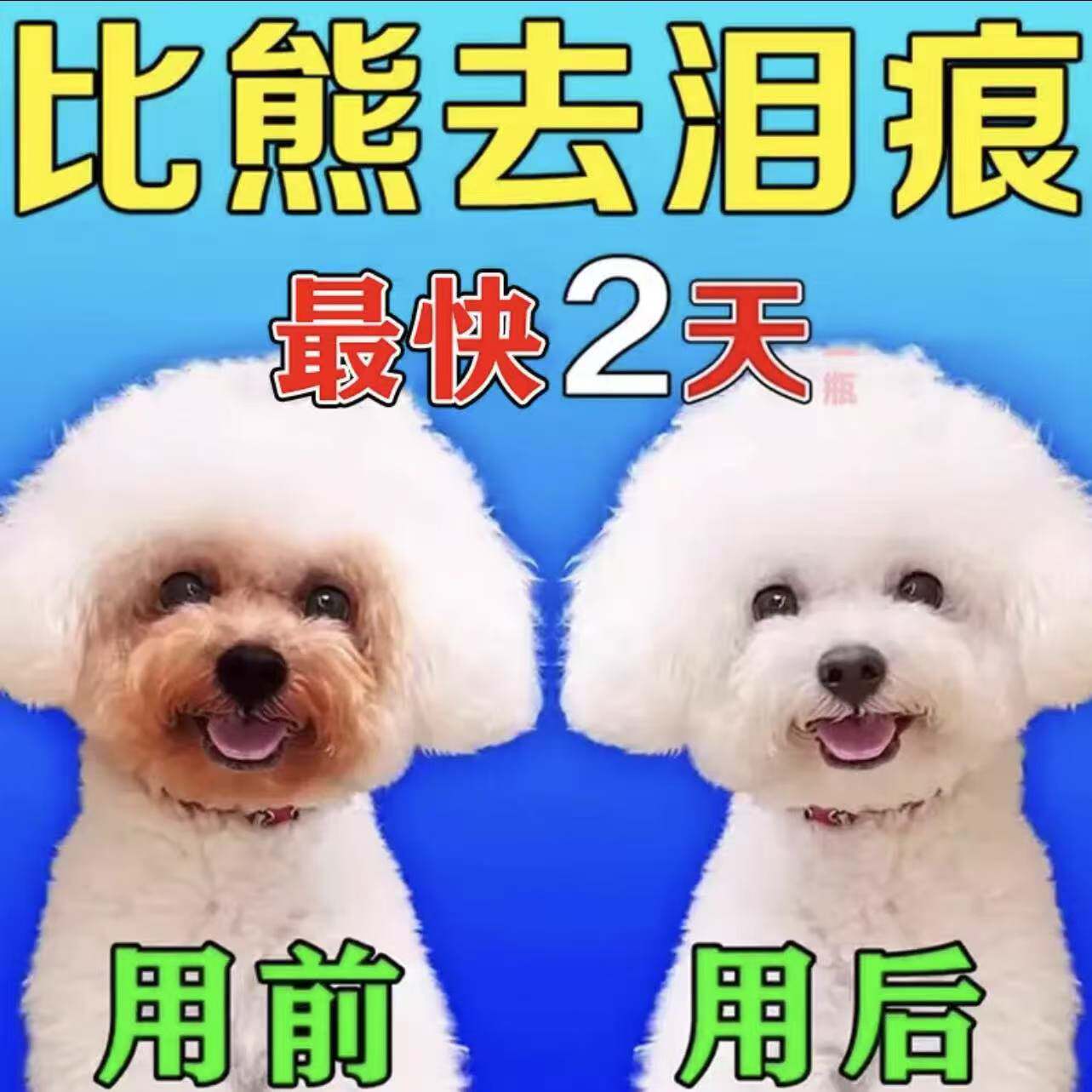 泰迪比熊萨摩耶眼角泪痕去除