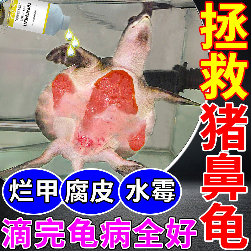 猪鼻龟专用药乌龟腐皮烂甲护龟液真菌感染眼白病养龟必备品M
