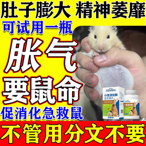 仓鼠肚子胀气小宠消食
