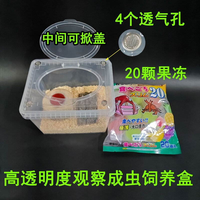 爬虫生态造景饲养箱套装独角仙锹甲兜虫食台甲虫成虫养殖盒子