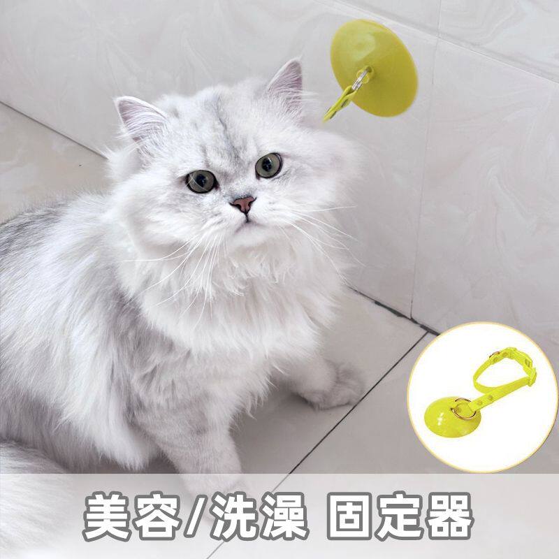 猫狗美容洗澡可拆卸吸盘绑带项圈宠物防抓挣脱跑清洁固定器具