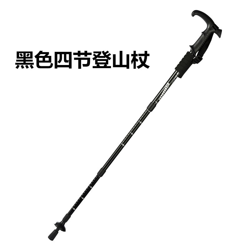 中老年健走户外旅游四节