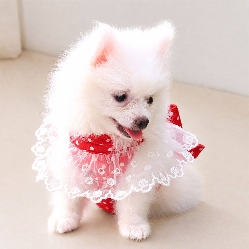 小中型犬印花工字胸背牵引绳猫狗春夏秋遛猫宠物衣服绳索用品