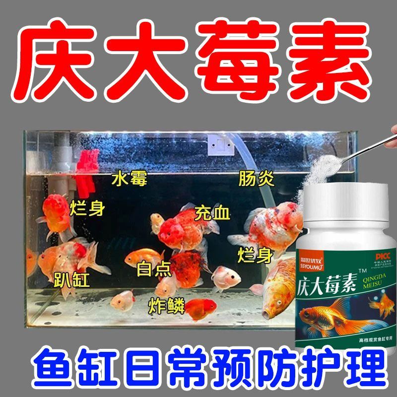 观赏鱼净水消毒康复药剂庆大酶素改善烂身烂尾白点掉磷蒙眼抑菌消