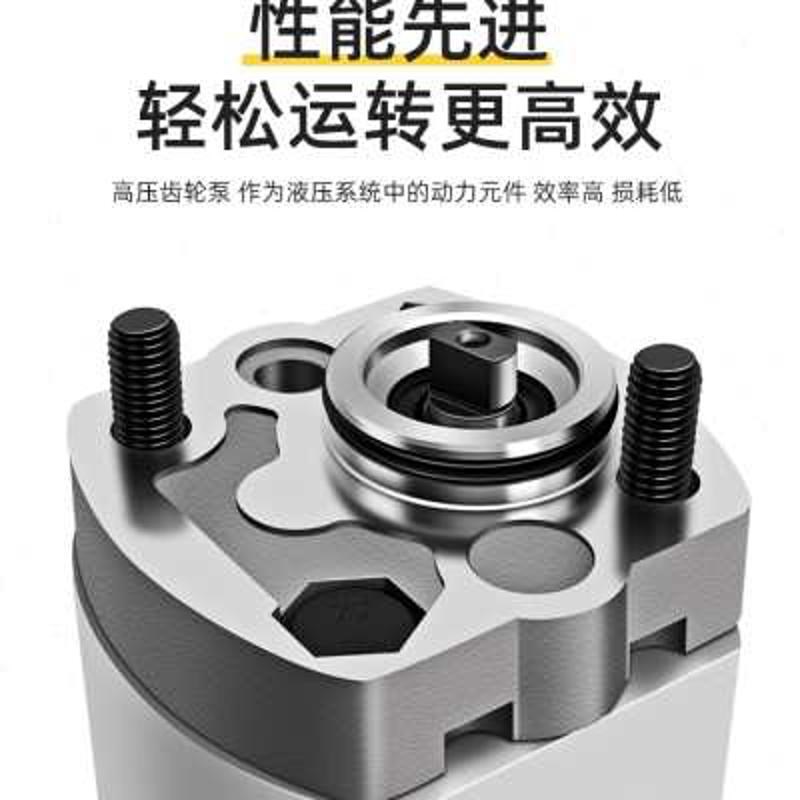 CBK微型齿轮泵CBK-F0.8/1.0/1.3/1.6/2.1/2.5/3.2/3R.7/4.2/5.8/6