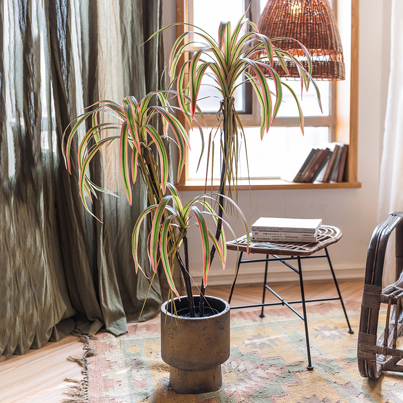 掬涵仿真大型龙血树千年木绿植盆栽北欧I家N居店铺橱窗造景装饰假