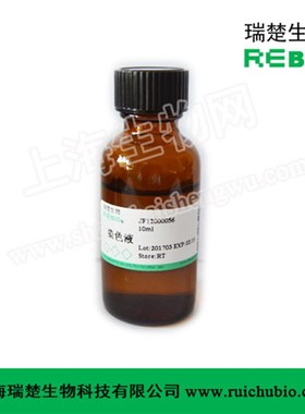 尿酸盐染色液(Gomori六胺银法)4*D50mlREBIO R100367