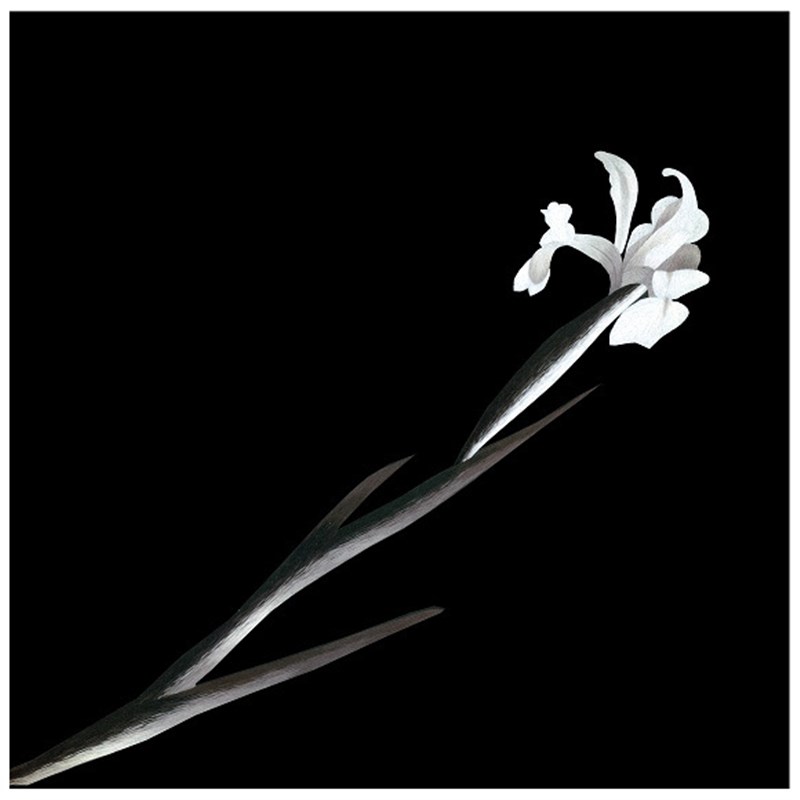 苏绣DIYc套件初学 针迹针脚 摄影花卉 客厅卧室餐厅书房刺绣装饰