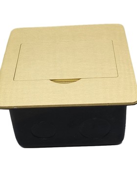 隐藏式单开门六类CAT6电脑双网络网线语音LRJ11电话地面插座开关