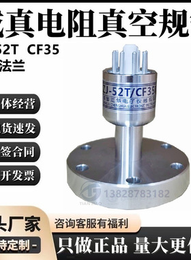粗低真空测量成真正华规管ZJ-52TCF35电阻真空规管快卸法兰450℃