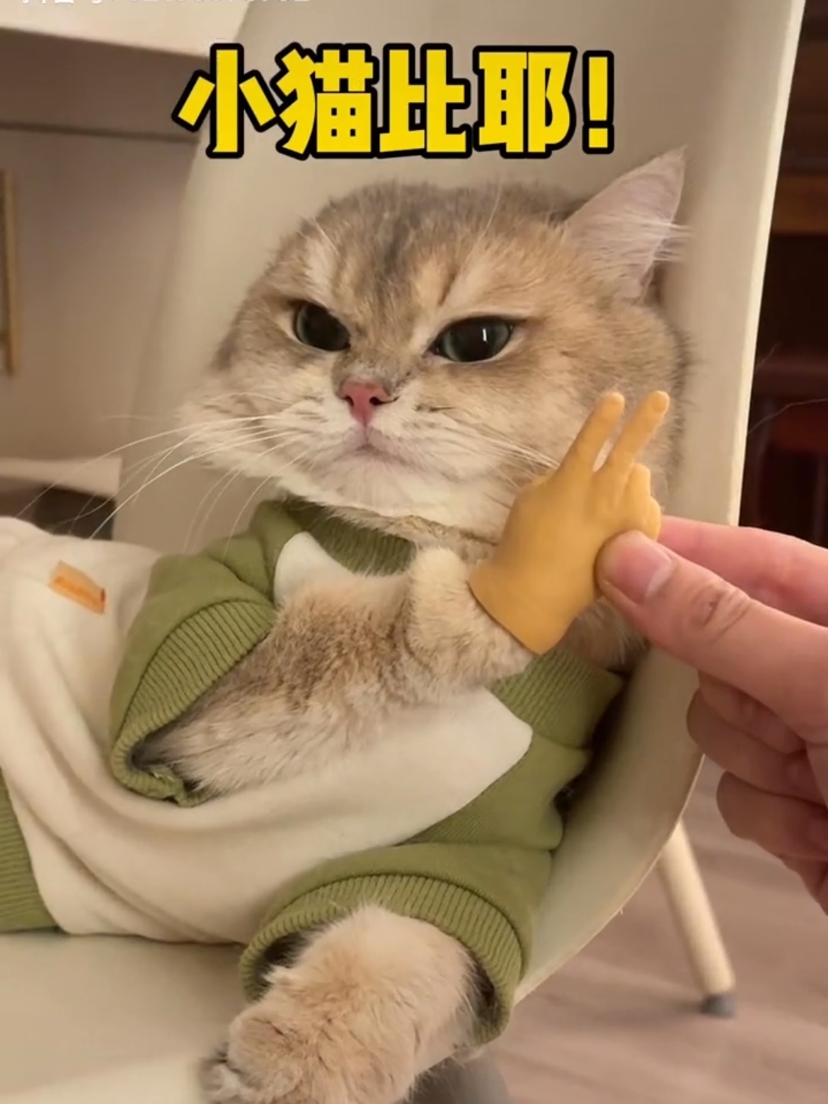 薄荷同款猫咪人手玩具搞笑手指装