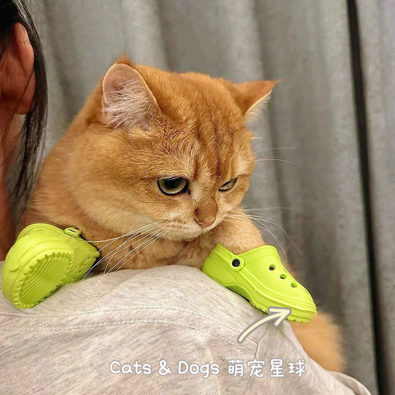 猫咪洞洞鞋夏天凉鞋狗狗鞋子宠物小猫脚套装饰金渐层布偶德文蓝猫