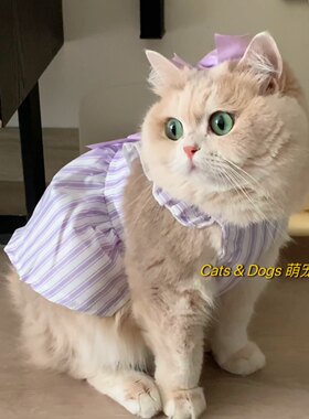 猫咪夏季公主裙甜美防掉毛狗吊带