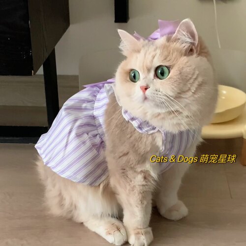 猫咪夏季公主裙甜美防掉毛狗吊带