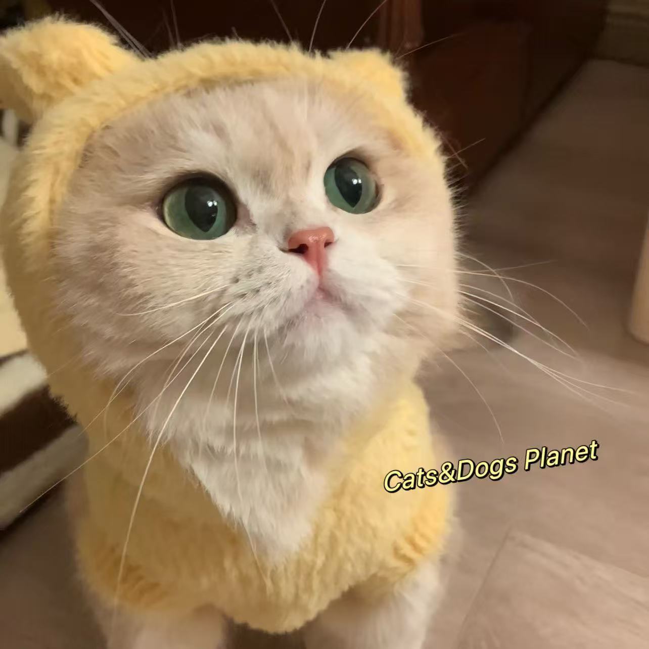 宠物猫咪狗狗毛绒帽衫保暖防掉毛