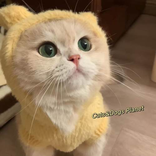 宠物猫咪狗狗毛绒帽衫保暖防掉毛