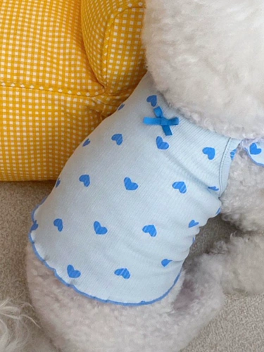 Корейская собачья одежда кошка весна и летняя подвеска против Hair Thin Pet Teddy Bichon Bear Gold Gradient Layer Котенок