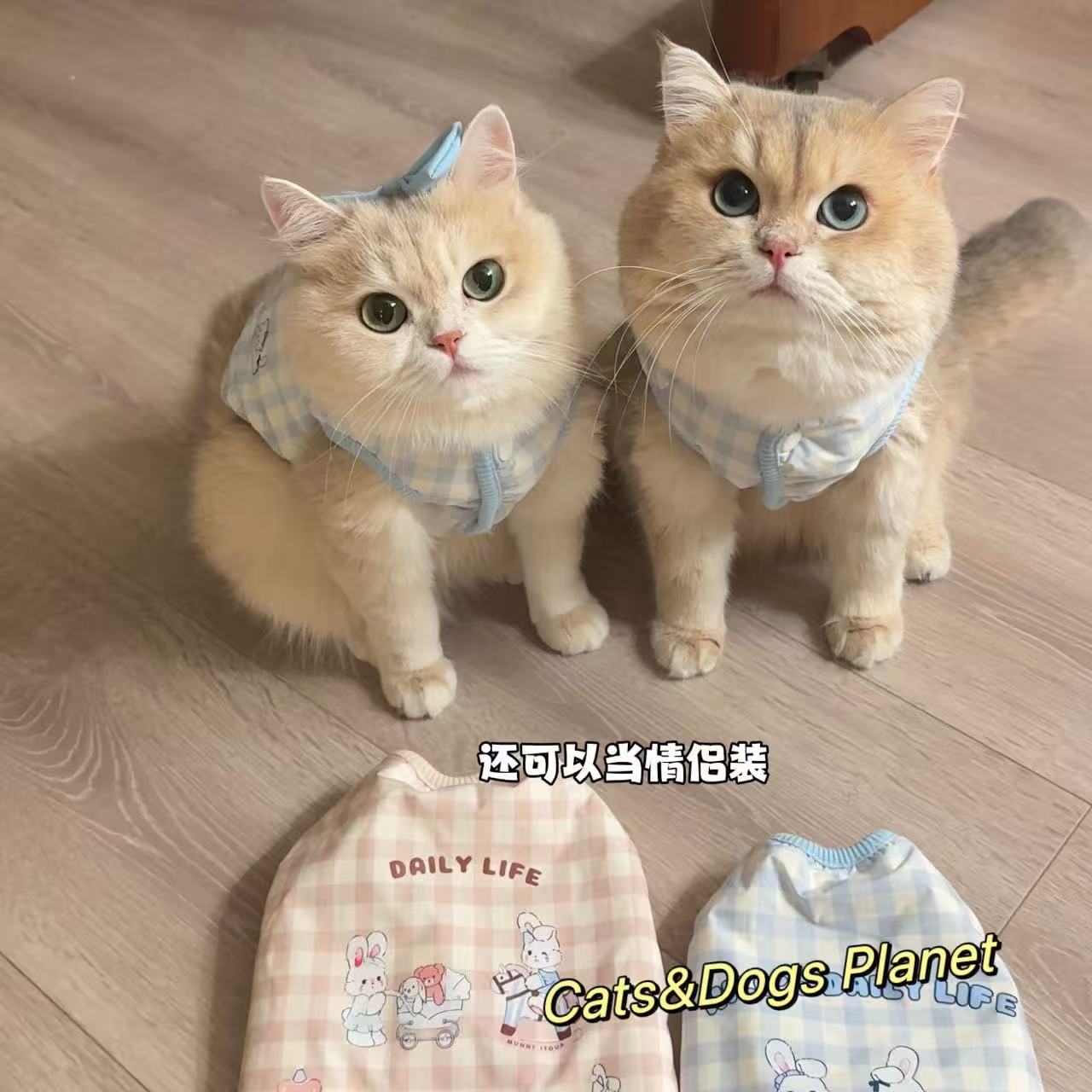 宠物秋冬款保暖加绒可爱卡通棉服