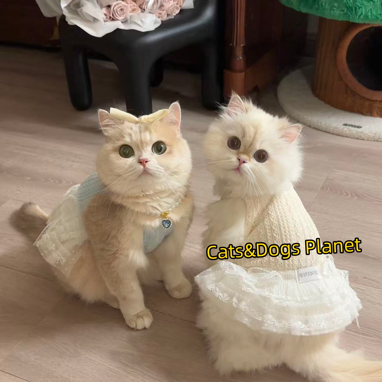 猫咪狗狗春夏薄款弹力防掉毛衣服透气条纹防掉毛背心宠物小猫猫夏