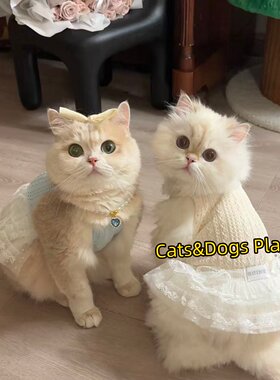 猫狗春夏薄款透气防掉毛背心