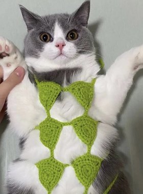 猫咪搞笑比基尼奶咪玩具宠物狗狗