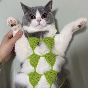 猫咪比基尼衣服玩具抖音网红手工毛线小猫咪宠物搞笑内衣狗狗胸罩
