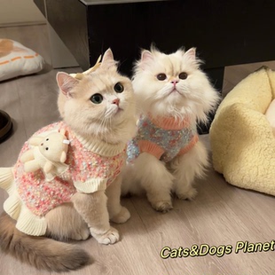 宠物毛衣花纱针织毛衣裙装猫咪狗狗小背心可爱秋冬保暖针织衫猫狗