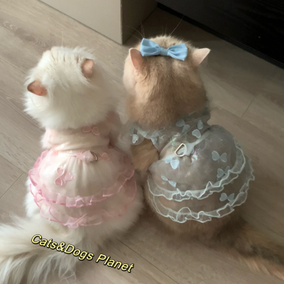 宠物衣服猫咪狗狗爱心网纱裙仙女公主裙子梦幻薄纱透气防掉毛犬猫