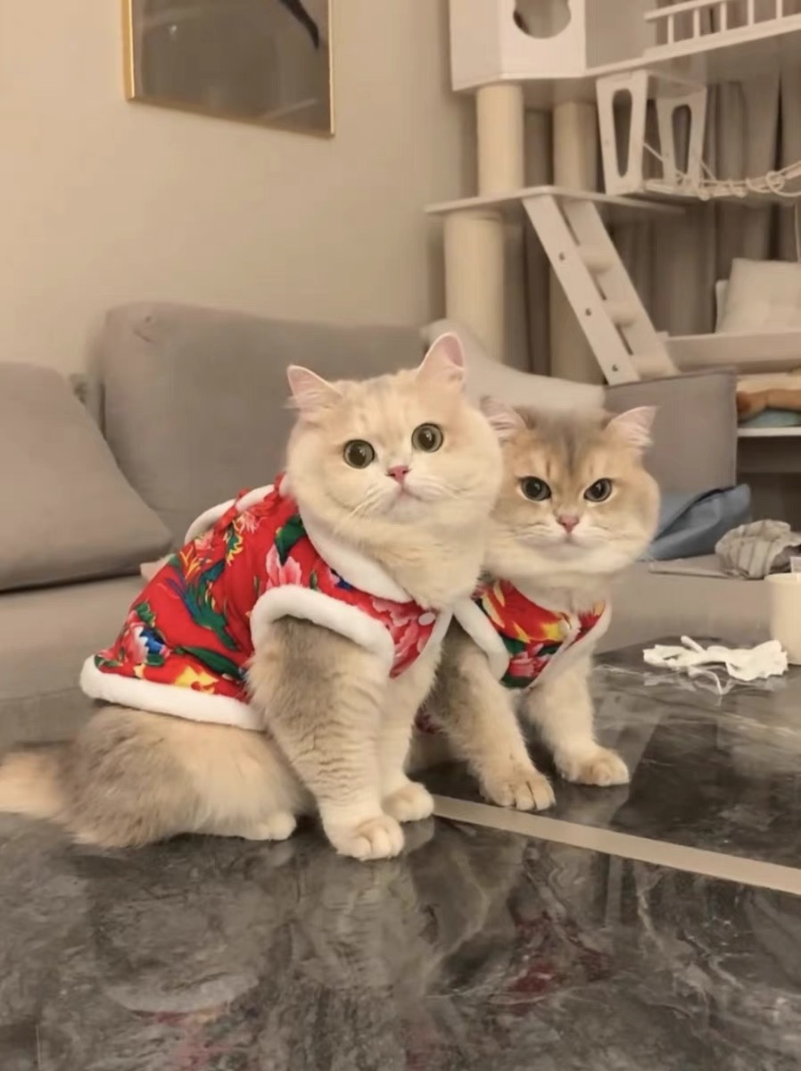 猫咪狗狗东北大花袄保暖背心新年