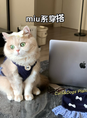 新款猫咪狗狗背心裙学院风可爱配饰套装花边吊带防掉毛金渐层比熊