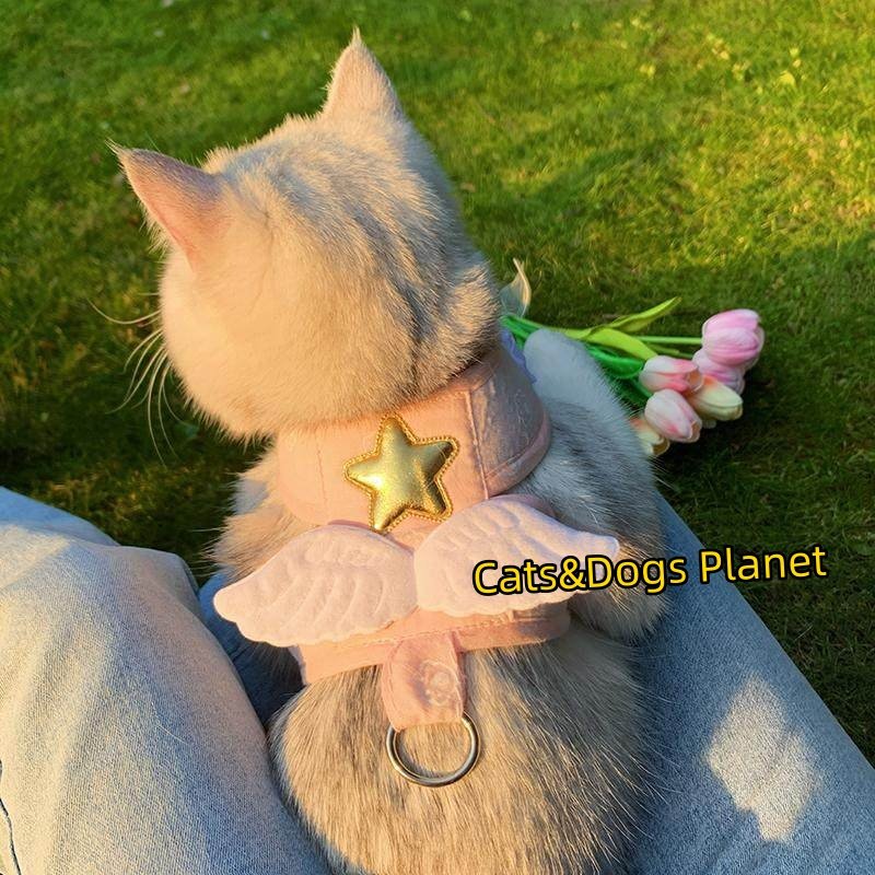 宠物猫咪粉色星星翅膀猫牵引绳狗狗可爱装饰猫咪项圈式牵引带宠物,宠物/宠物食品及用品,猫牵引绳,淘宝优惠券,粉丝福利购,淘宝优惠卷
