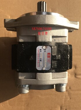 天津岛津液压齿轮泵 油泵 SGP1A20A2HH9-L206C 齿轮泵挖掘机油泵