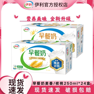 24盒整箱送礼早餐搭档S 伊利早餐奶麦香核桃味250ml 12月产