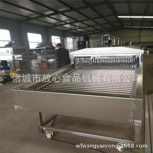 全自动玉米洗清价机格 滚杠式FX-1000玉米清机厂家洗 诸城