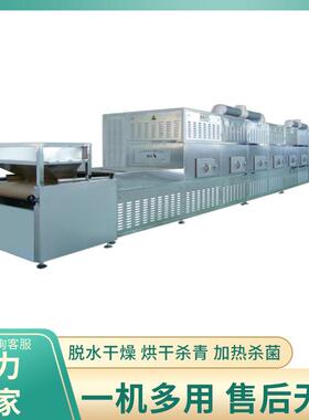 带稻谷水果MSD-20HM网式干燥机式烘干机带辣椒用连续干烘设备智能