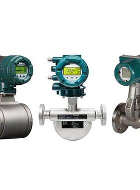 涡街流量计DY100-EBLBA1-2D/SCT/MV DY040-EBLBA1-2D/SCT