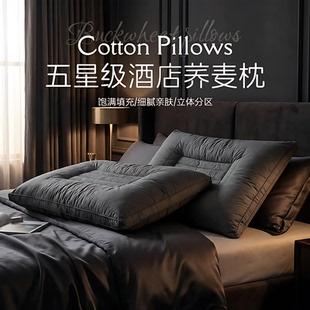 德国高端荞麦枕头五星级酒店用深睡护颈椎助睡眠荞麦皮壳高硬枕芯