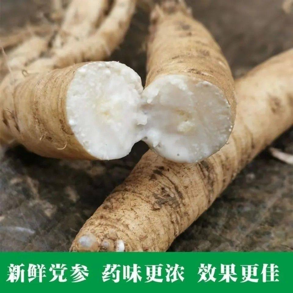 云南党参新鲜现挖农家自产足干带泥特产顺丰发货煲汤食材滋补品