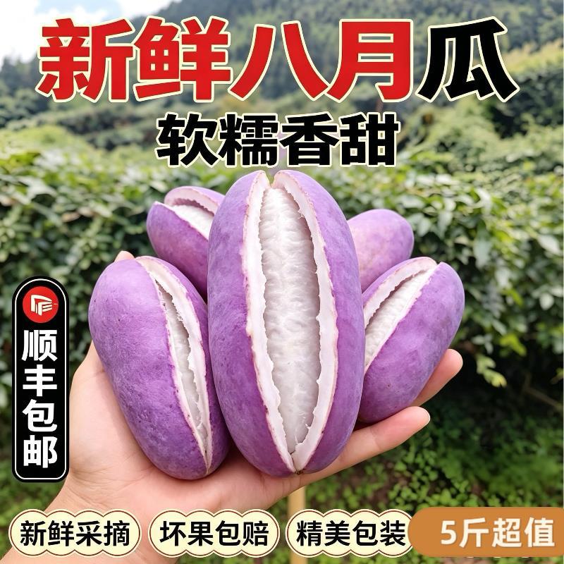 新鲜现摘八月瓜5斤应季野生水果牛卵坨木通果九月黄拿麻藤包顺丰