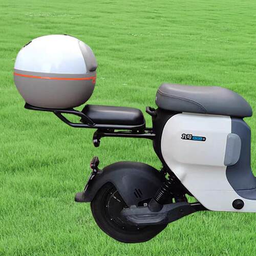 适用九号A35+/A30C/B110P/C40/F60/Q90/A2Z/Mmax电动车后备箱储物