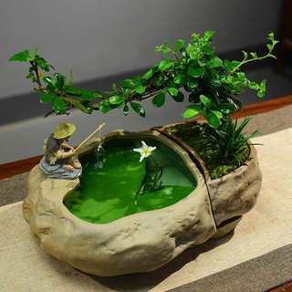 水陆组合盆景植物绿植文竹六月雪福建茶造型艺术雀梅盆栽室内水景