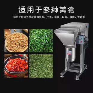 果蔬打碎机商用大型果菜馅机芋头打泥机生姜大蒜辣椒切碎机