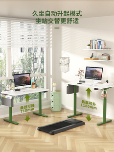 双电机智能电动升降桌实木居家办公电脑桌学习桌N02绿色
