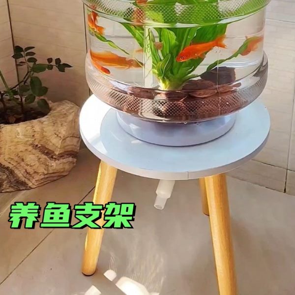 支架DIY鱼缸矿泉水桶养鱼养鱼自制创意水族纯净水桶生态鱼缸鱼缸